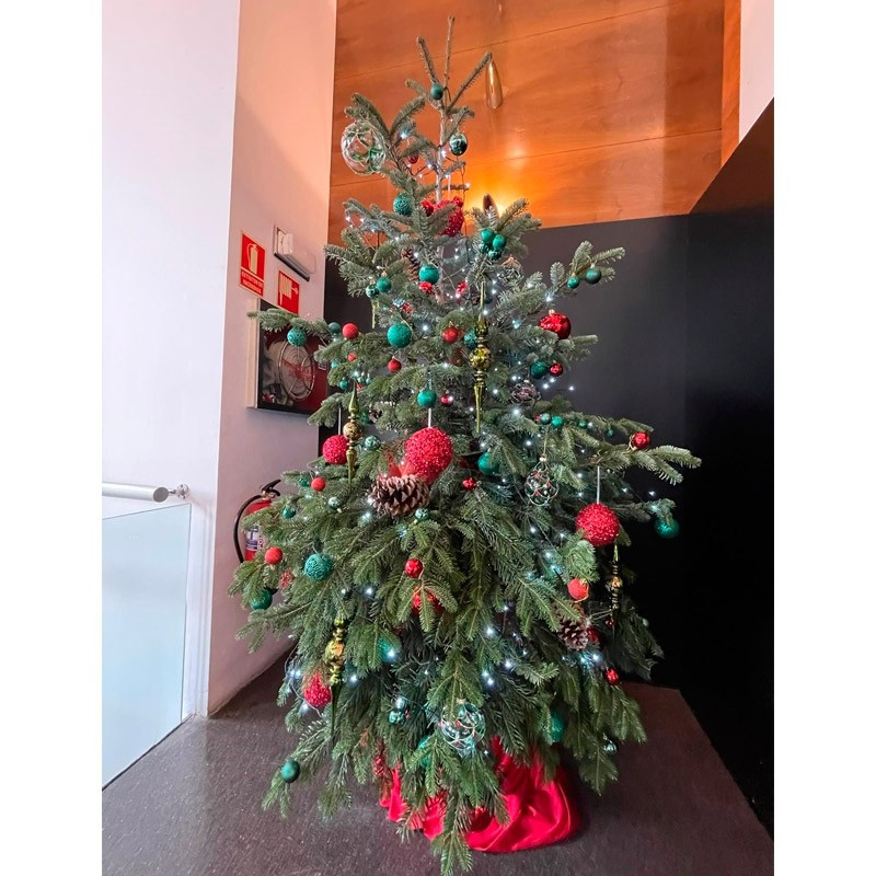 ÁRBOL DE NAVIDAD AN-22002